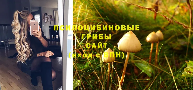 это формула  Покров  Галлюциногенные грибы Magic Shrooms  mega  